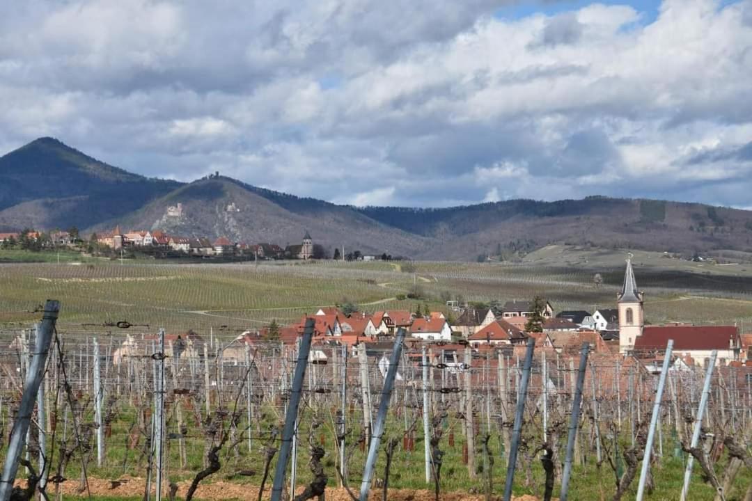 Gites Marschall Jean-Pierre Beblenheim Exteriér fotografie