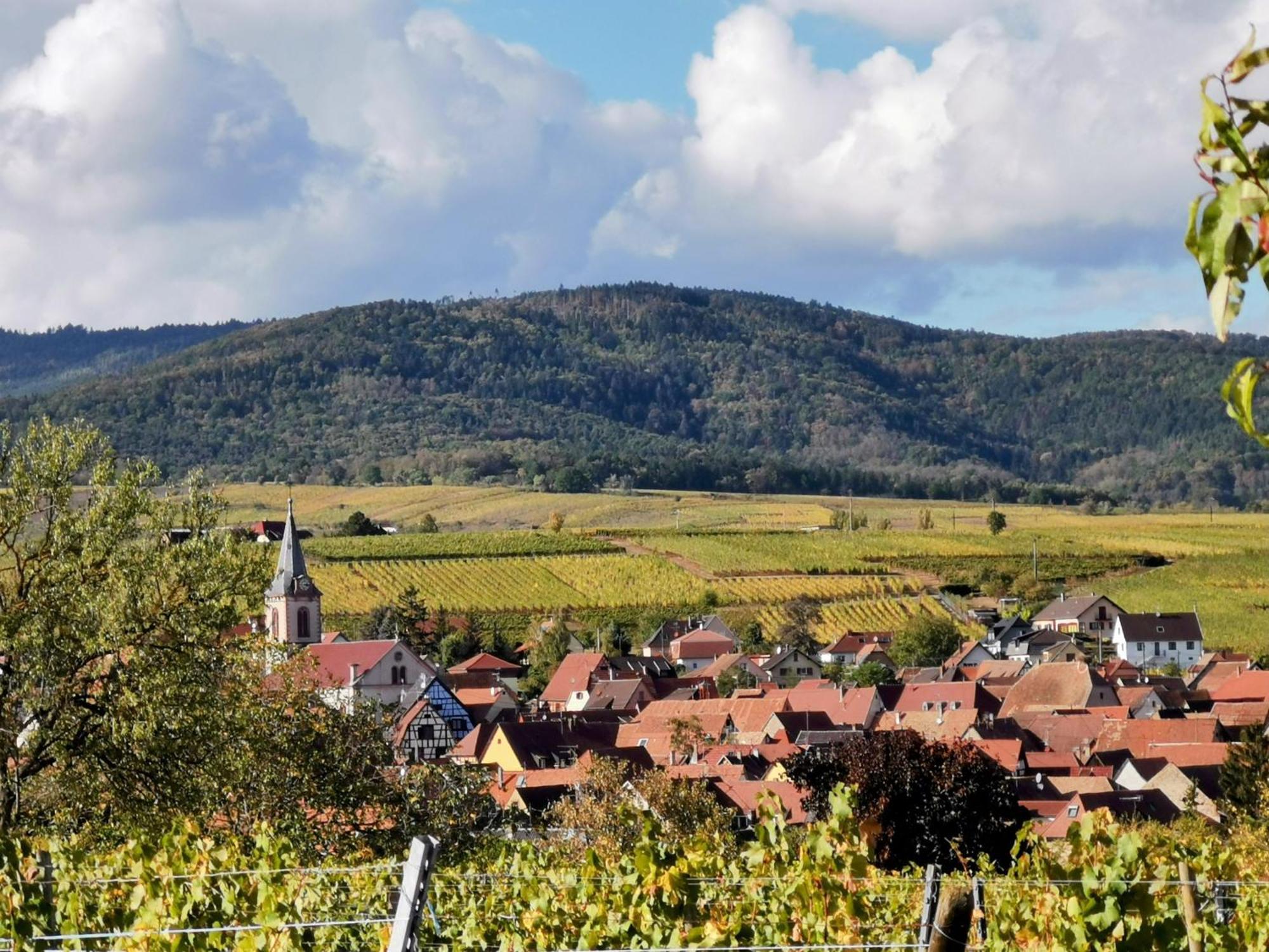 Gites Marschall Jean-Pierre Beblenheim Exteriér fotografie